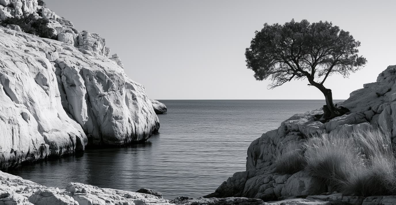 Crique méditerranéenne en noir et blanc avec falaises calcaires, olivier solitaire et mer calme, illustrant l'univers de la bougie Azur de la collection Essence des Sens de G-HOME.